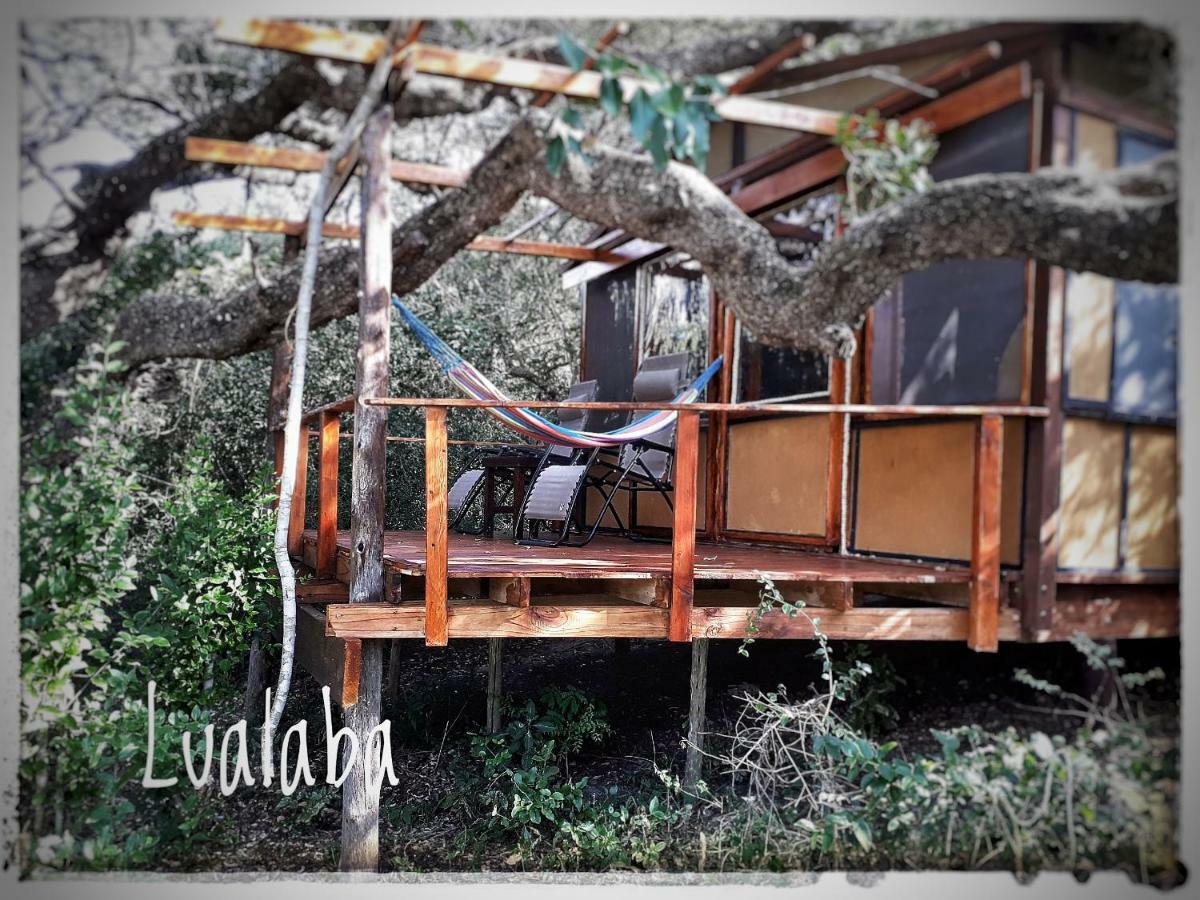 Chinderera Eco Lodge Manguzi Eksteriør billede